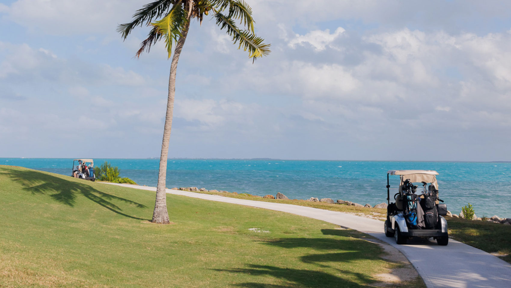 Palm tree, golf cart on cart path with ocean in background