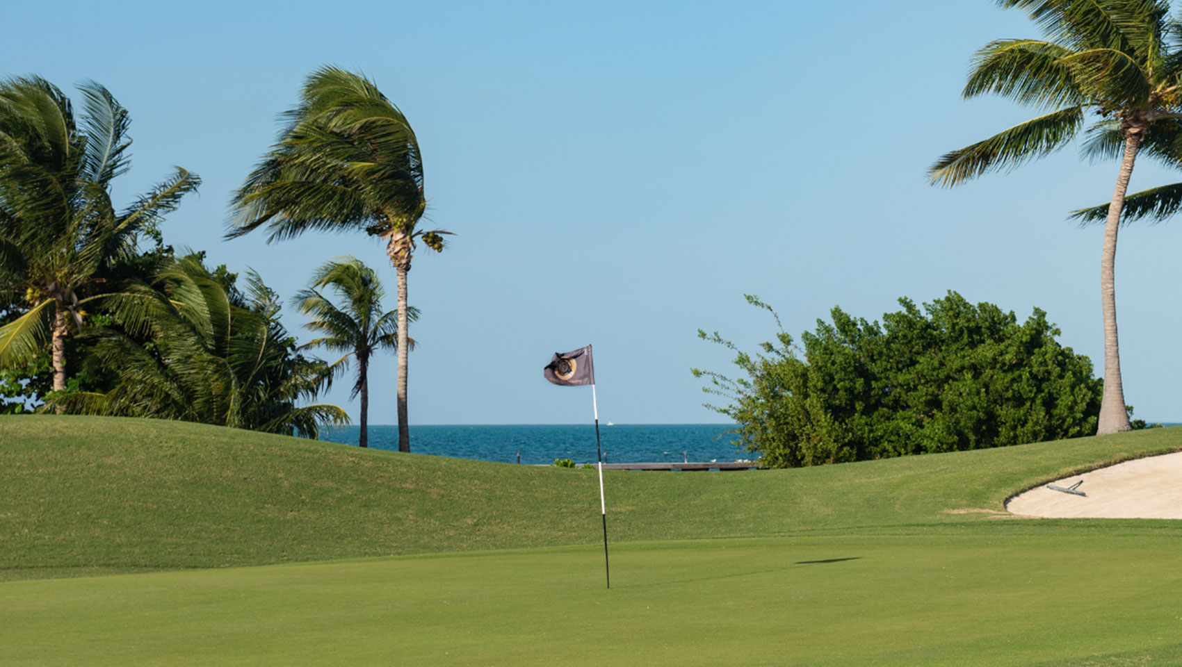 View of green with palm trees and ocean in the distance