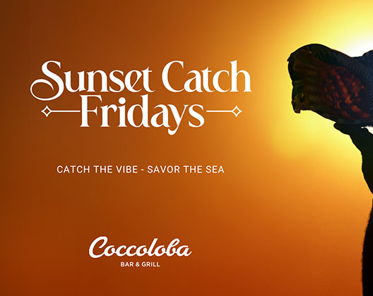 Graphic that says Sunset Catch Fridays at Coccoloba with Man blowing into conch shell