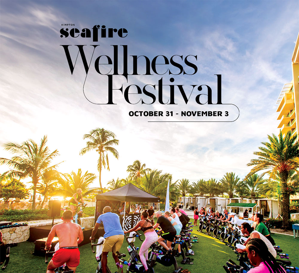 Seafire Wellness Festival flyer